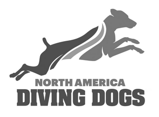 NORTH AMERICA DIVING DOGS logo