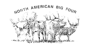 NORTH AMERICAN BIG FOUR logo