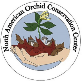NORTH AMERICAN ORCHID CONSERVATION CENTER logo
