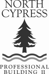 NORTH CYPRESS PROFESSIONAL BUILDING II logo