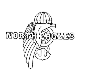 NORTH EAGLES logo