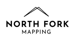 NORTH FORK MAPPING logo