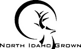 NORTH IDAHO GROWN logo
