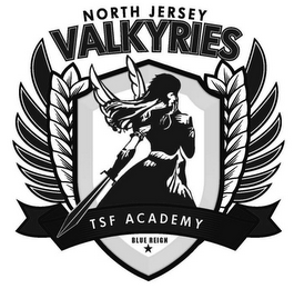 NORTH JERSEY VALKYRIES TSF ACADEMY BLUE REIGN logo