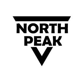 NORTH PEAK logo