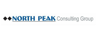 NORTH PEAK CONSULTING GROUP logo