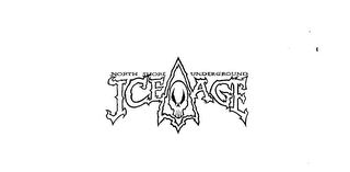 NORTH SHORE UNDERGROUND ICE AGE logo