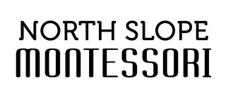 NORTH SLOPE MONTESSORI logo
