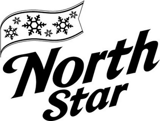 NORTH STAR logo