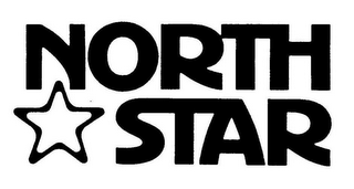 NORTH STAR logo