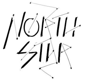 NORTH STAR logo