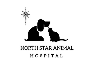 NORTH STAR ANIMAL HOSPITAL logo