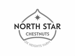 NORTH STAR CHESTNUTS OX HEIGHTS FARM logo