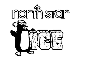 NORTH STAR ICE logo