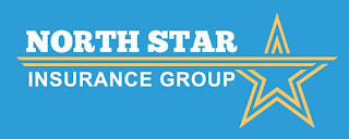 NORTH STAR INSURANCE GROUP logo