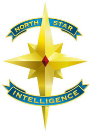 NORTH STAR INTELLIGENCE logo