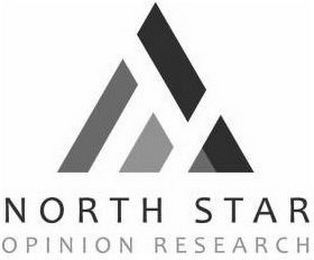 NORTH STAR OPINION RESEARCH logo
