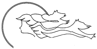 NORTH WIND logo