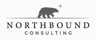 NORTHBOUND CONSULTING logo
