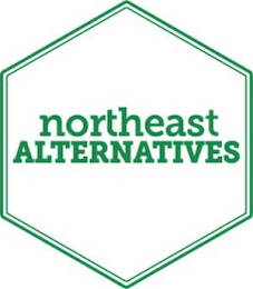 NORTHEAST ALTERNATIVES logo