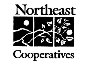 NORTHEAST COOPERATIVES logo