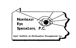 NORTHEAST EYE SPECIALISTS, P.C. LASER INSTITUTE OF NORTHEASTERN PENNSYLVANIA INC. logo