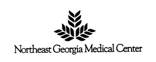 NORTHEAST GEORGIA MEDICAL CENTER logo