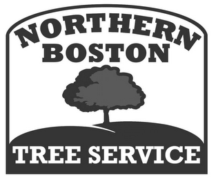 NORTHERN BOSTON TREE SERVICE logo