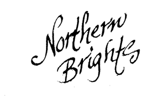 NORTHERN BRIGHTS logo