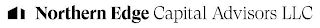 NORTHERN EDGE CAPITAL ADVISORS LLC logo