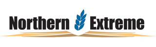 NORTHERN EXTREME logo