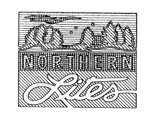 NORTHERN LITES logo