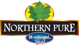 NORTHERN PURE UN-CARBONATED...YES! logo