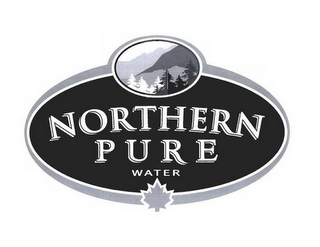 NORTHERN PURE WATER logo