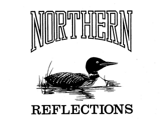 NORTHERN REFLECTIONS logo