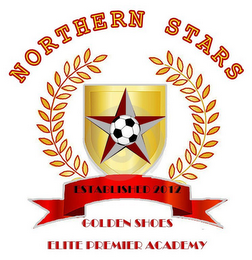 NORTHERN STAR ESTABLISHED 2012 GOLDEN SHOES ELITE PREMIER ACADEMY logo