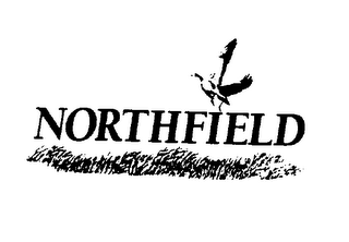 NORTHFIELD logo