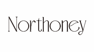 NORTHONEY logo