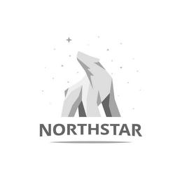 NORTHSTAR logo