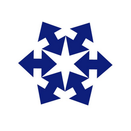 NORTHSTAR CORPORATE SERVICES PROFIT SOLUTIONS - LIABILITY MANAGEMENT logo