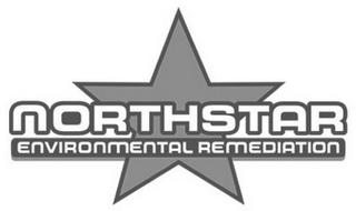 NORTHSTAR ENVIRONMENTAL REMEDIATION logo