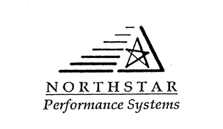 NORTHSTAR PERFORMANCE SYSTEMS logo