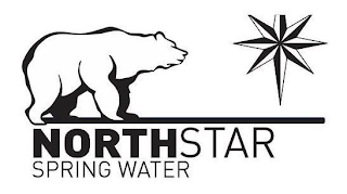 NORTHSTAR SPRING WATER logo