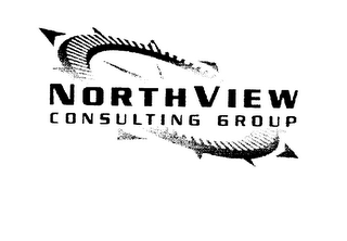 NORTHVIEW CONSULTING GROUP logo
