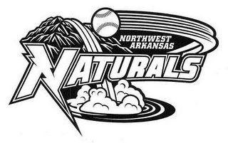 NORTHWEST ARKANSAS NATURALS logo
