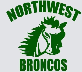 NORTHWEST BRONCOS logo