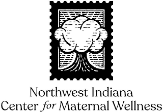 NORTHWEST INDIANA CENTER FOR MATERNAL WELLNESS logo