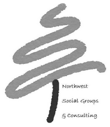 NORTHWEST SOCIAL GROUPS & CONSULTING logo