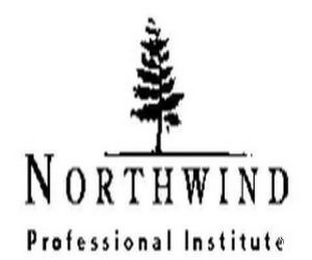 NORTHWIND PROFESSIONAL INSTITUTE logo