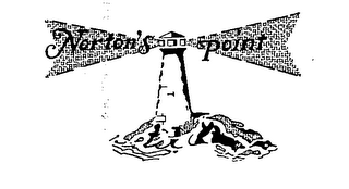 NORTON'S POINT logo